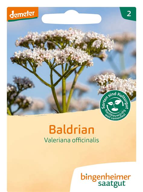 Bingenheimer Saatgut Baldrian 1 Packung Bloomling Deutschland