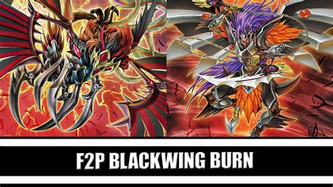 F P Blackwing X Sd Blackwing S Pride Against The Meta Yu Gi Oh