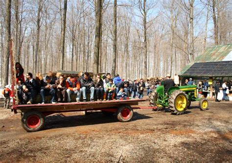 Maple syrup festival editorial stock photo. Image of farm - 4804918