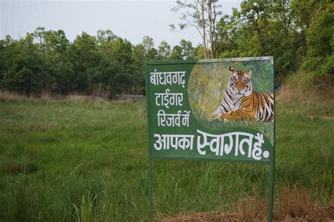 Bandhavgarh National Park (MP) 10 June 2012 - SplitSeconds: Raju Bist ...