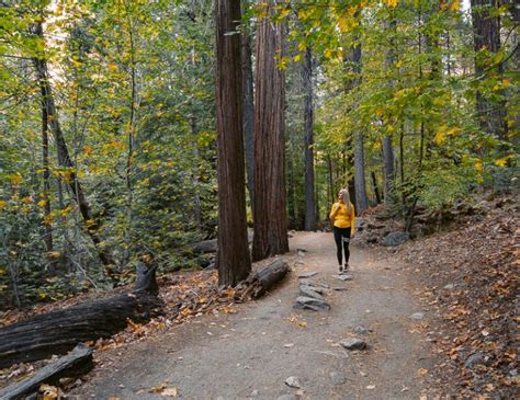 How To Hike Mirror Lake Trail In Yosemite National Park