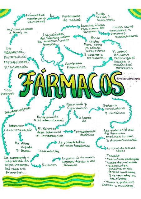 Mapa Mental Metabolismo De F Rmacos Yasstudyvlog Udocz The Best Porn