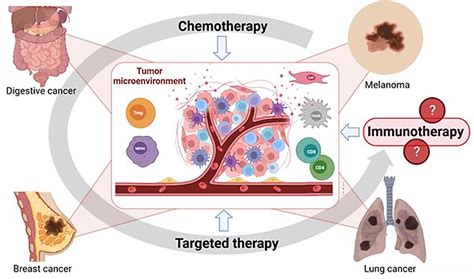 Full Article Immunosuppressive Tumor Microenvironment Modulation By Chemotherapies And Targeted