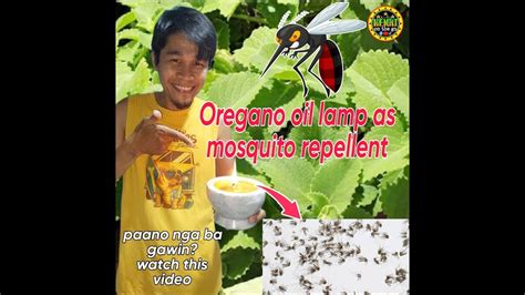 How To Make Diy Oregano Oil Lamp As Mosquito Repellent Youtube