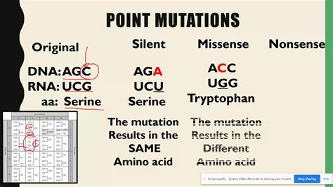 Substitution And Frameshift Mutations Ap Biology Topic 67 Youtube