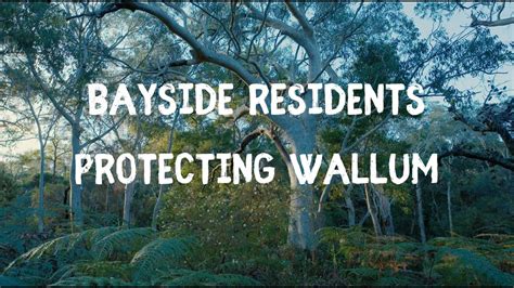 Bayside Residents Protecting Wallum Youtube