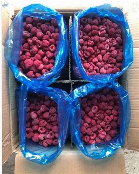 Sweet Frozen Raspberry Fruits Packaging Type Plastic Box Iqf At Rs 800 Kg In Asangaon