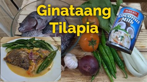 Paano Magluto Ng Ginataang Tilapia Ginamit Kong Gata Ay Nasa Lata