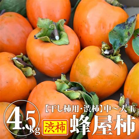 【楽天市場】【予約】蜂屋柿（中～大玉）45kg 送料無料 干し柿用渋柿 干し柿用 渋柿 柿 干し柿用柿 ほしがき 吊るし柿 吊し柿