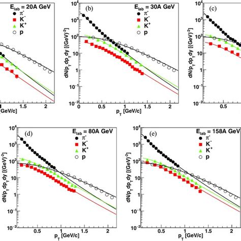 Simultaneously Fitted P T Spectra Of π − K ± And P At A 20a Gev