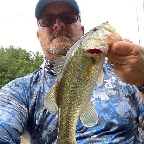 Cedar Cliff Lake Fishing Reports🎣• Brevard Nc United States Fishing