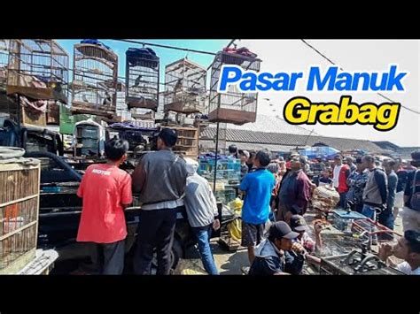 Pasaran Legi Blusukan Di Pasar Burung Unggas Grabag Magelang