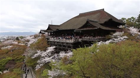 The Large Veranda Of Kiyomizu-dera (Kiyomizu Temple) During Cherry Blossoms Season In Kyoto ...