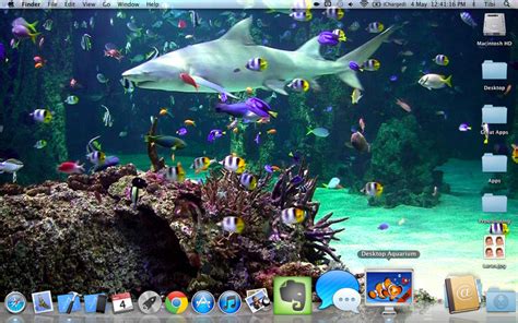 Animated Fish Aquarium Desktop Wallpapers - WallpaperSafari