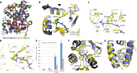 Crystal Structure Of The Pdurar Lbd A Superimposition Of The Four Download Scientific