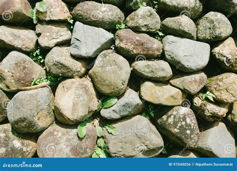 Dry Conglomerate Blackground And Textures Stock Photo Image Of Brown