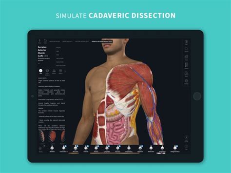 Complete Anatomy 2024 Ipad App Appwereld