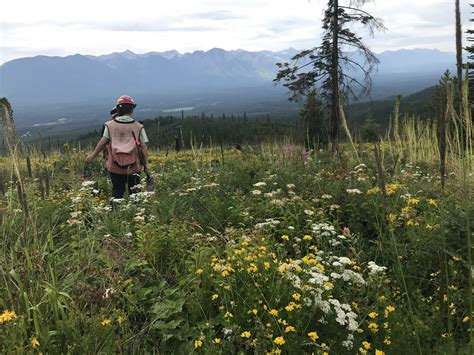 Idaho Panhandle National Forests - Employment