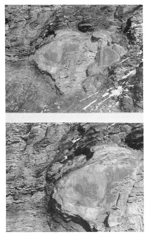 Figure From The Carbonate Concretions Of The Ohio Shale Semantic