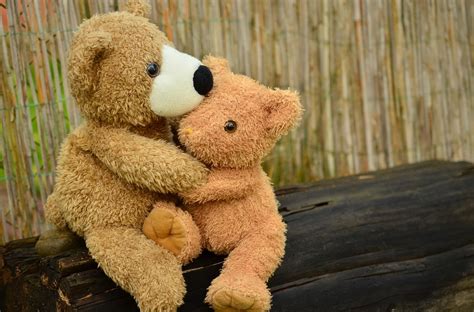 Teddy Bear Hug