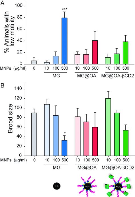 Evaluation Of Biocompatibility In C Elegans Worms Were Exposed To