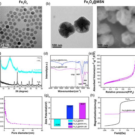 Characterization Of The NPs A Characterization Of Fe 3 O 4 With TEM