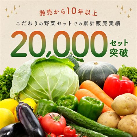 【楽天市場】「あす楽」＜セット＞ おまかせ 九州野菜セット 12品 旬の野菜詰め合せ・おまかせ詰め合わせセット！ 人気のセット！ 西日本