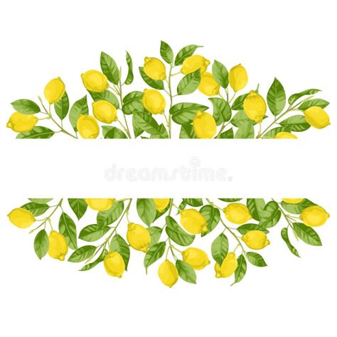 Italian Lemon Border Stock Illustrations Italian Lemon Border