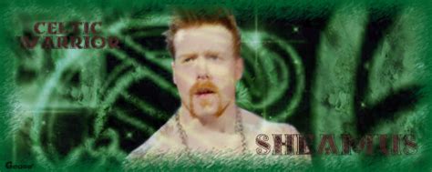 Sheamus WWE Fan Art 20013450 Fanpop