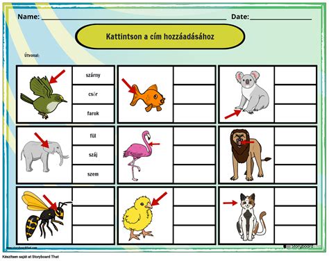 Az Llatok Testr Szei Munkalapsablon Storyboard