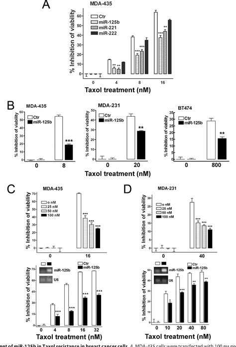 Figure 2 From Microrna 125b Confers The Resistance Of Breast Cancer Cells To Paclitaxel Through