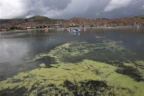 Acuerdan acciones para la recuperación ambiental del lago Titicaca