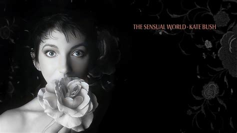 Kate Bush Love And Anger Audio YouTube