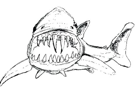 Lemon Shark Coloring Page at GetColorings.com | Free printable ...