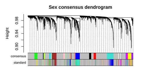 Consensus Network Analysis • Hdwgcna