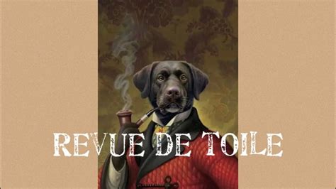 Diamond Painting Revue De Toile Chien Insolite YouTube