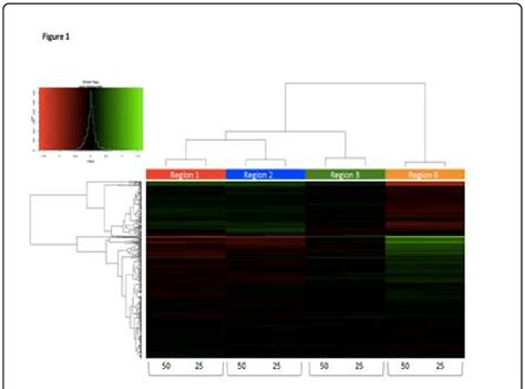 Heat Map Showing Gene Expression Patterns Identified In Four Regions