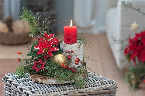 Advents Gesteck Mit Weihnachtsstern Und Bild Kaufen 12477615