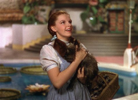 Toto I’ve A Feeling We’re Not In Kansas Anymore Wizard Of Oz Movie Wizard Of Oz 1939 Oz Movie