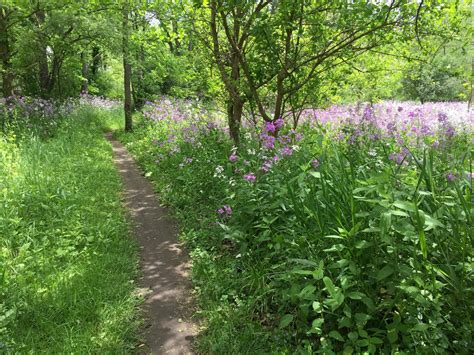 Winona Lake Trail Mountain Bike Trail in Warsaw, Indiana - Directions