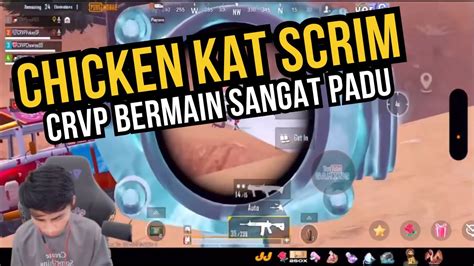 CRVP CHICKEN KAT SCRIM VOKEY BERMAIN SANGAT PADU YouTube