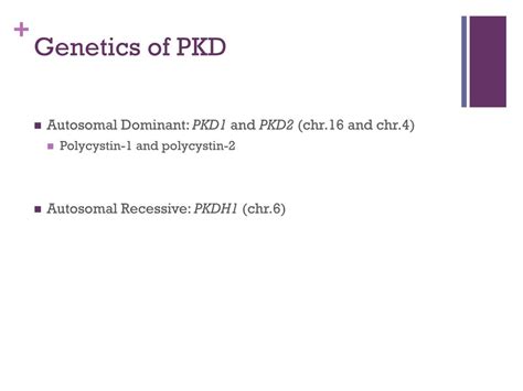 PPT - Polycystic Kidney Disease PowerPoint Presentation, free download - ID:2857895