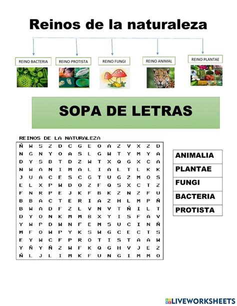 Reinos De La Naturaleza Activity For Tercero Ciencias De La