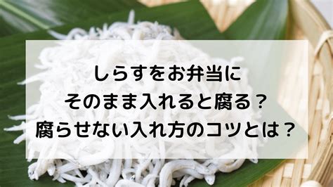 しらすをお弁当にそのまま入れると腐る？腐らせない入れ方のコツとは？ たねちゃんち