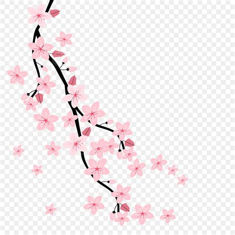 Flores De Cerezo Rosa Sakura Png Dibujos Rbol Rama Sakura Png Y