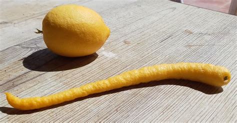 18 Weird Pictures Of Fruit That Will Make You Itch