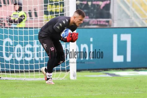 Palermo Freme In Forse Verre E Pigliacelli Ilovepalermocalcio