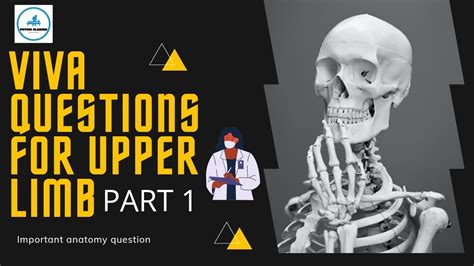 Important Viva Questions For Upper Limb L Part L Upper Limb K Question