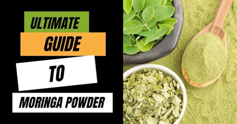 The Ultimate Guide To Moringa Powder Benefits Uses And Recipes