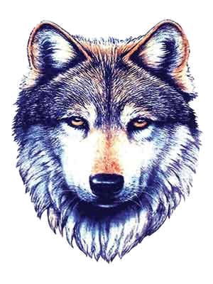 Beta Wolf | TheWolfGang | Wolf tattoos, Wolf tattoo design, Wolf face